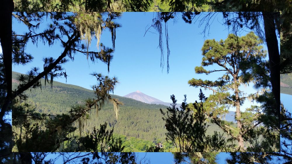 mehr Wald wie Teide