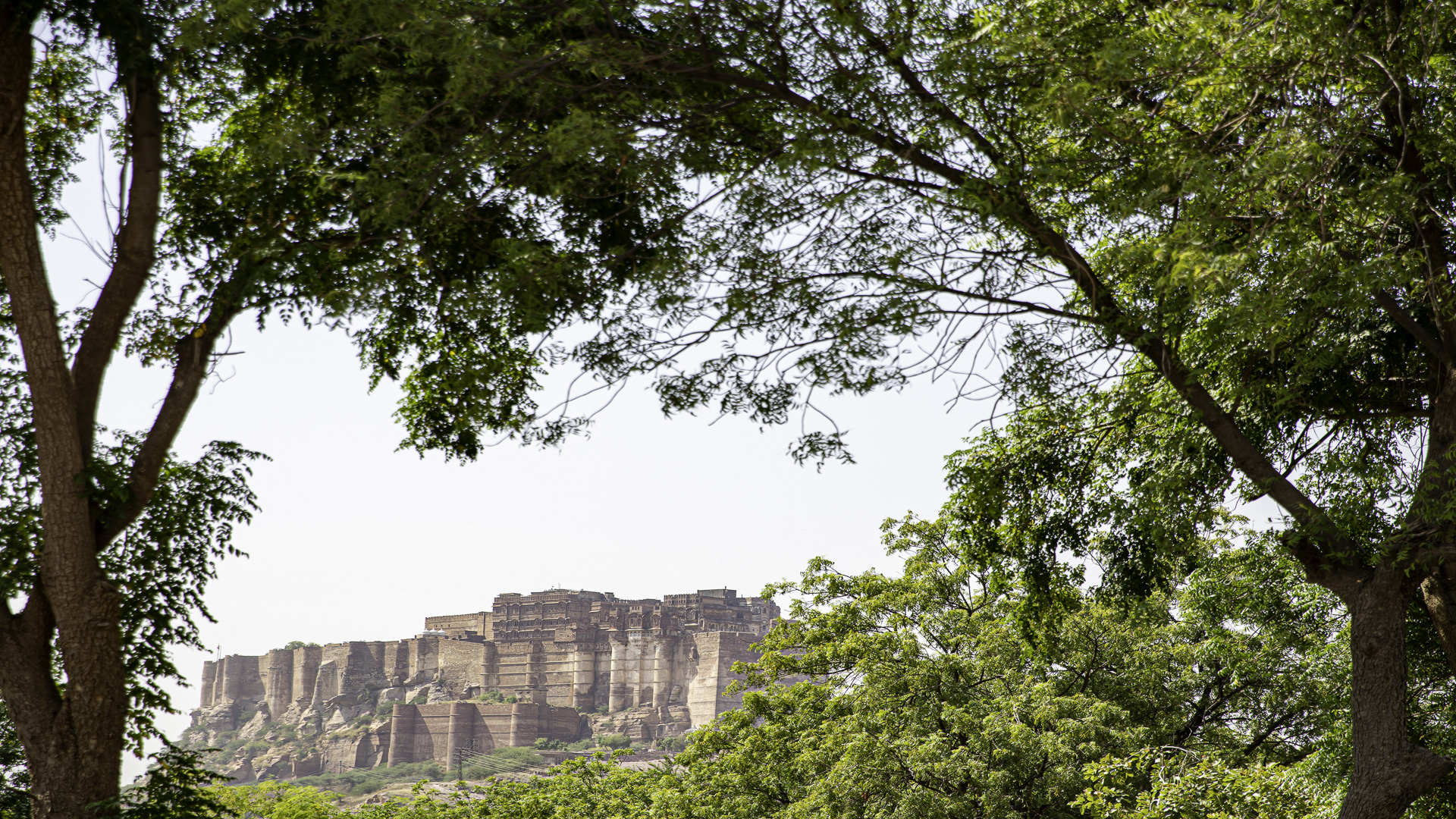 Mehrangarh Fort