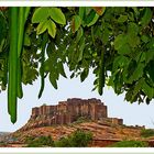 Mehrangarh Fort