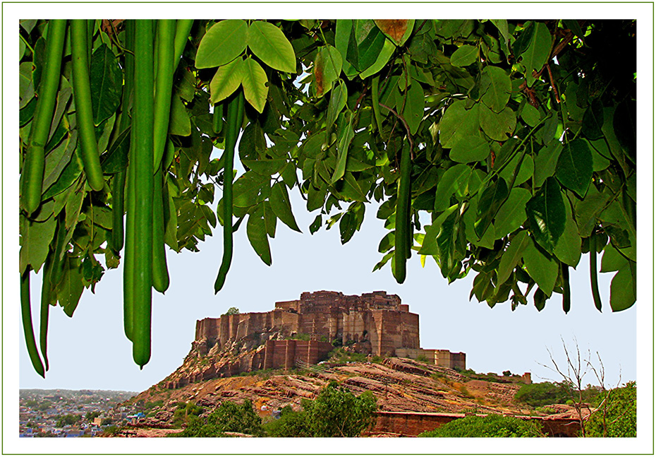 Mehrangarh Fort