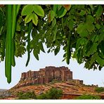 Mehrangarh Fort