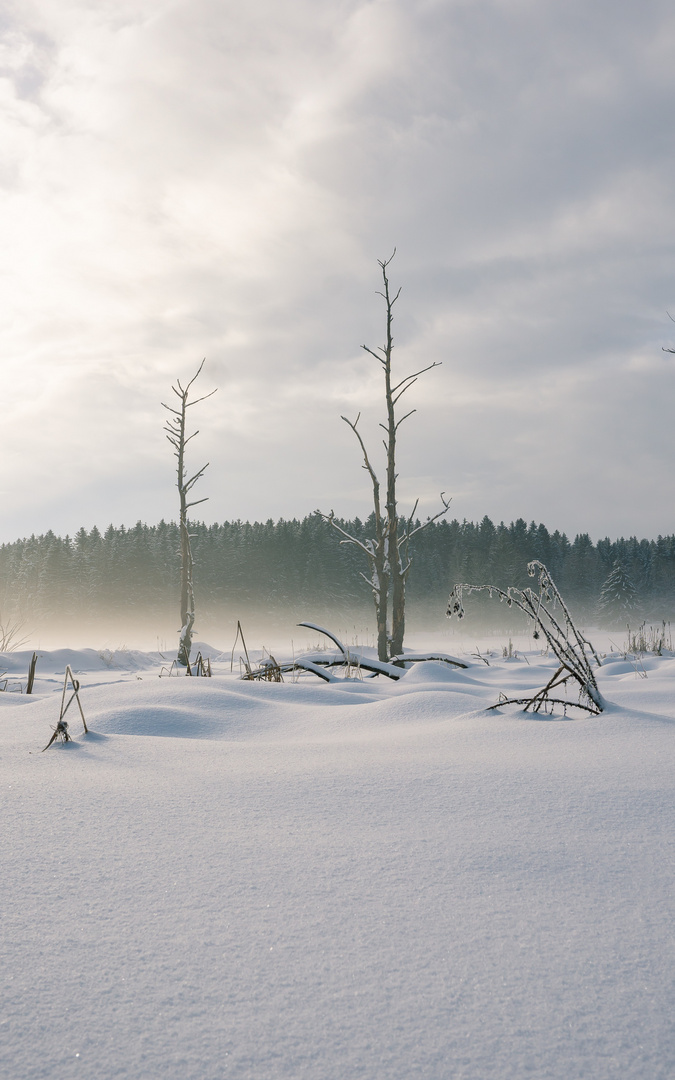 Mehrchen goes Tiefschnee 1