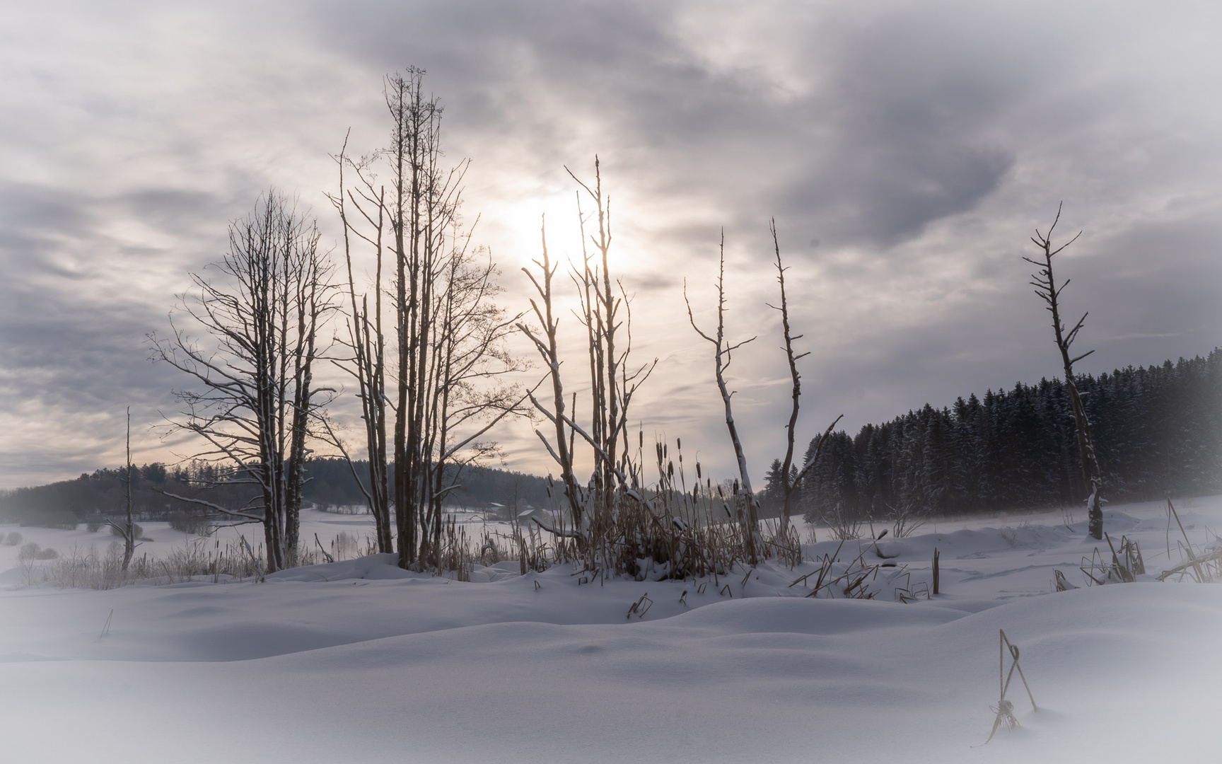 Mehrchen goes Tiefschnee 2