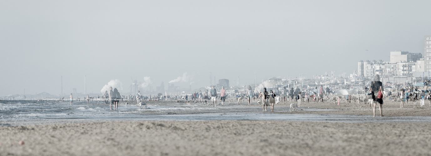 Mehrfach am Meer