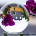 Mehrfach Focusstack & Kugelexperiment