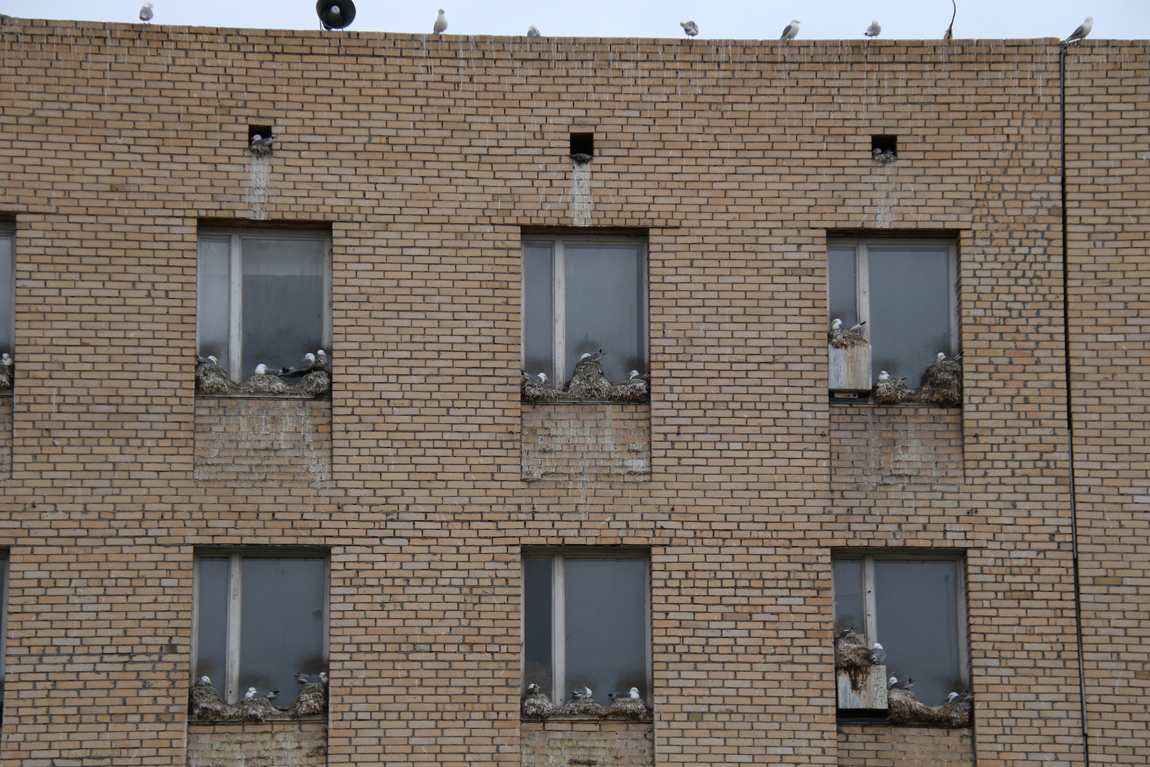 "Mehrfamilienhaus" Pyramiden (Svalbard)