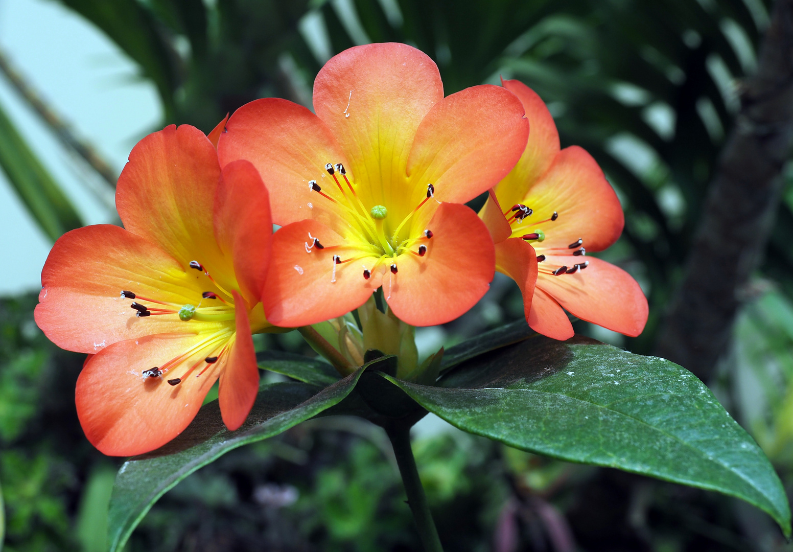 Mehrfarbiges Foto & Bild | asia, singapore, projekte Bilder auf