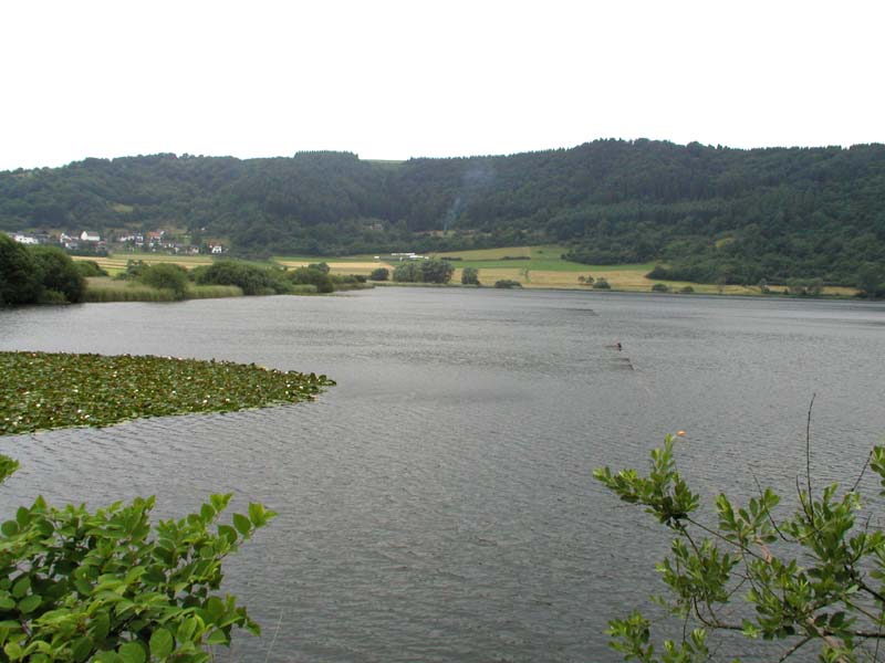 Mehrfelder Maar in Schalkenmehren, Eifel.