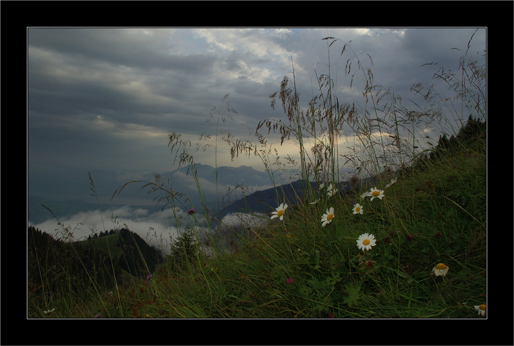 ..mehrheitlich regenbilder...