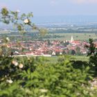 Mei Magredn - meine Heimatgemeinde im Burgenland