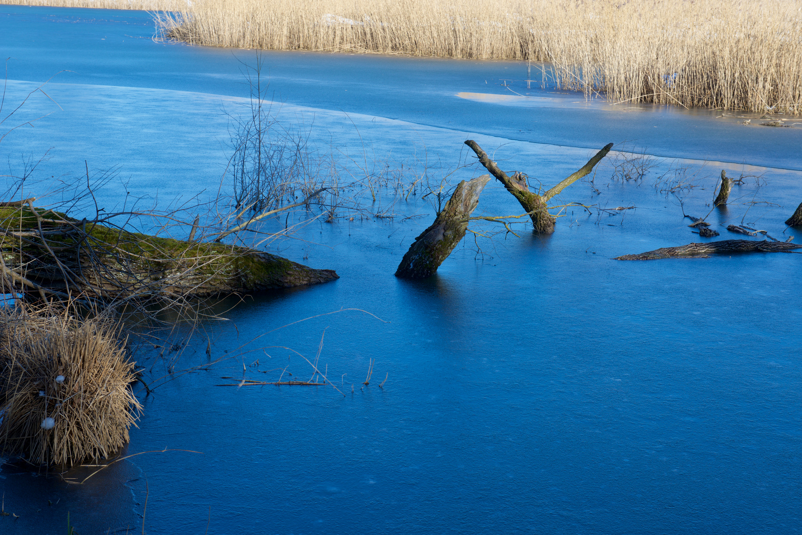 Meienried Teich