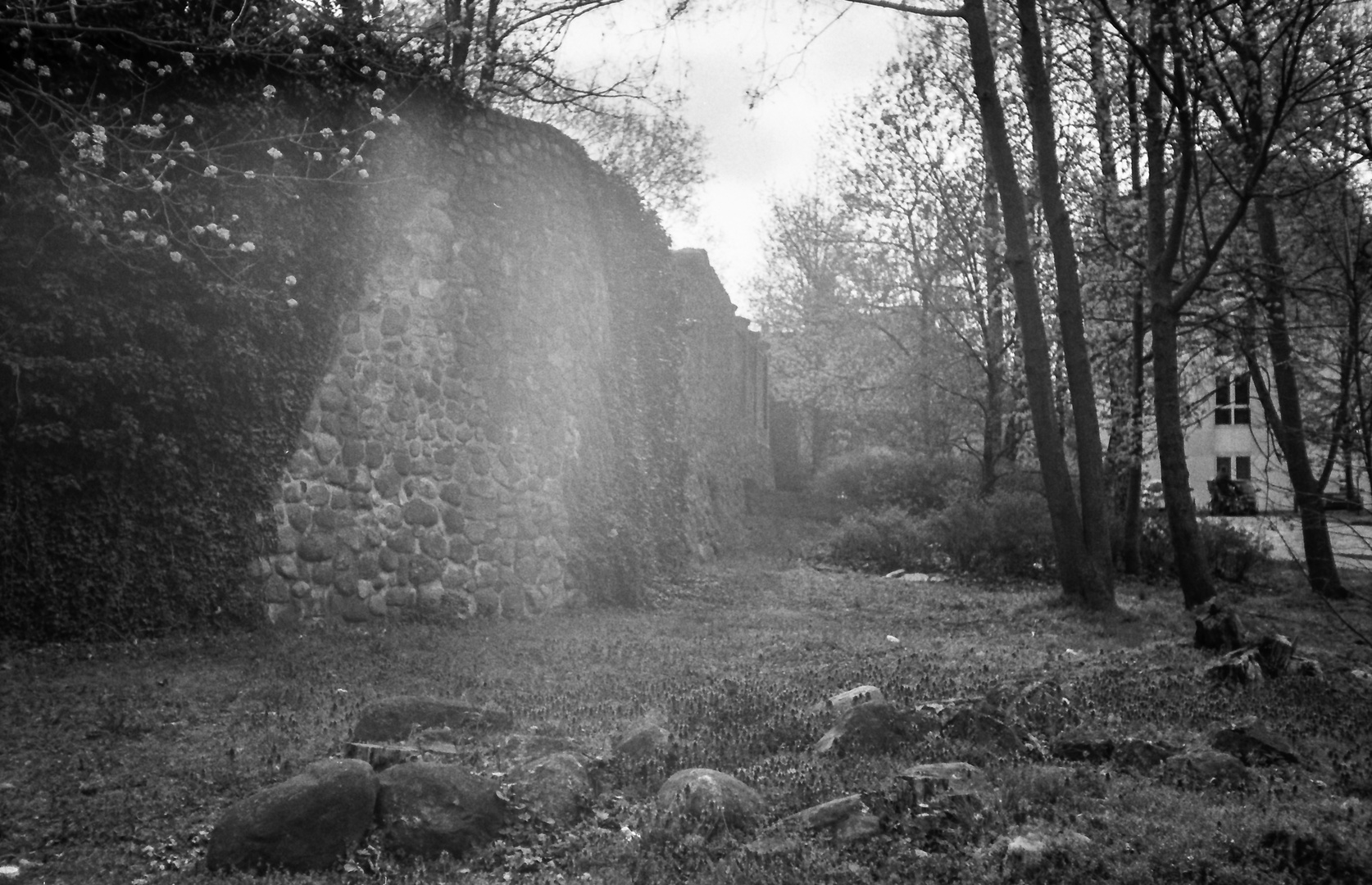 Meilenstein der mytyschen Gestryppfotografie