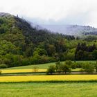 Meilensteine der Gestrüppphographie