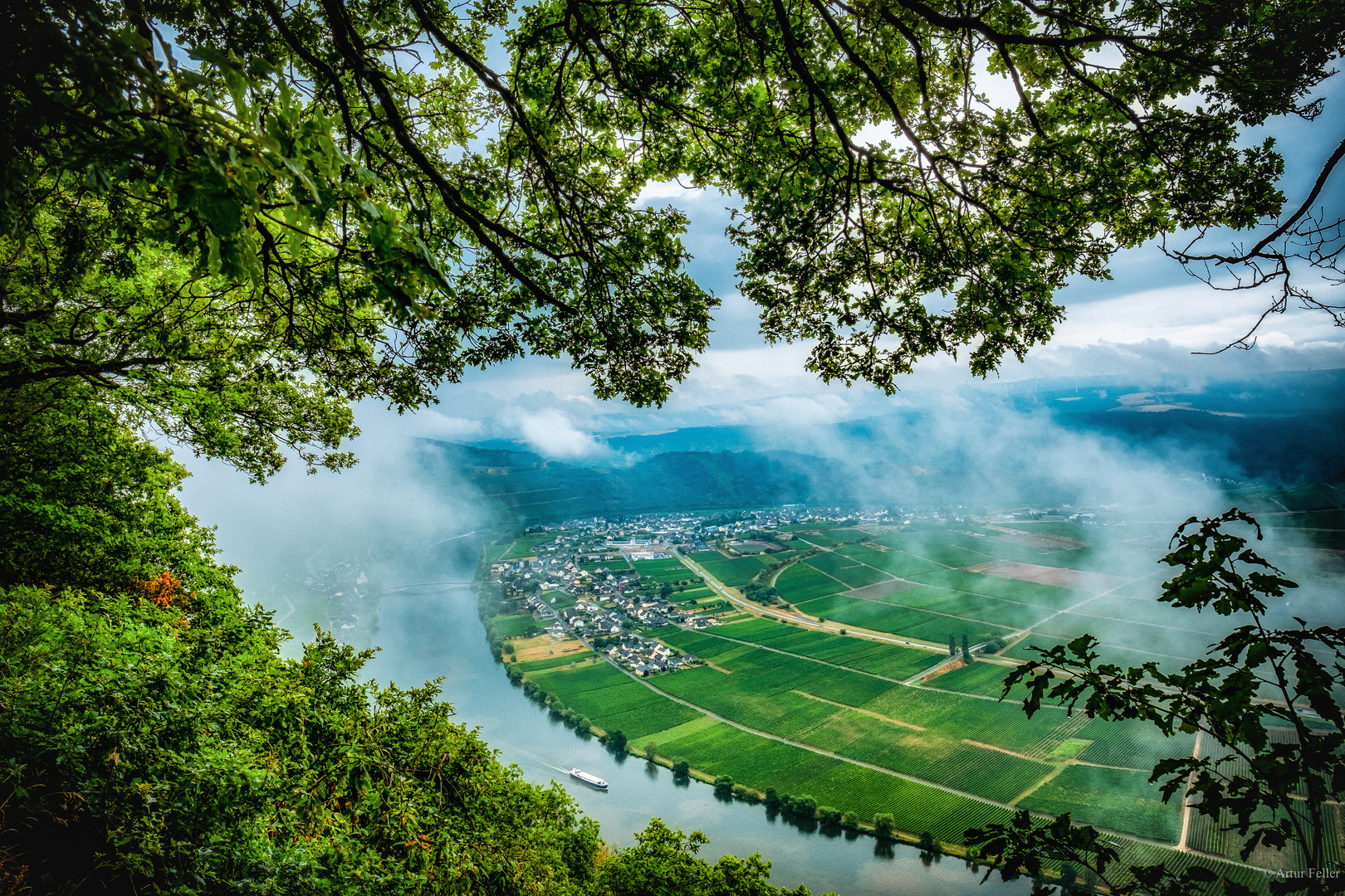 Meilensteine der Gestrüppphotographie