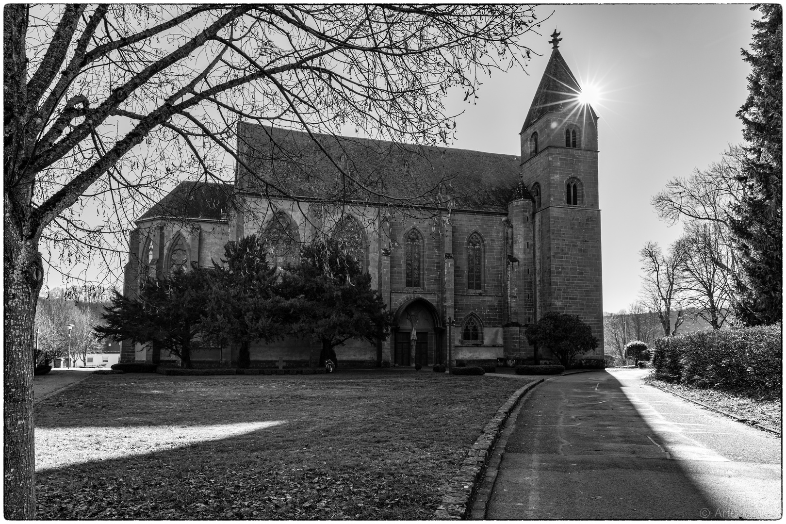 Meilensteine der Gestrüppphotographie