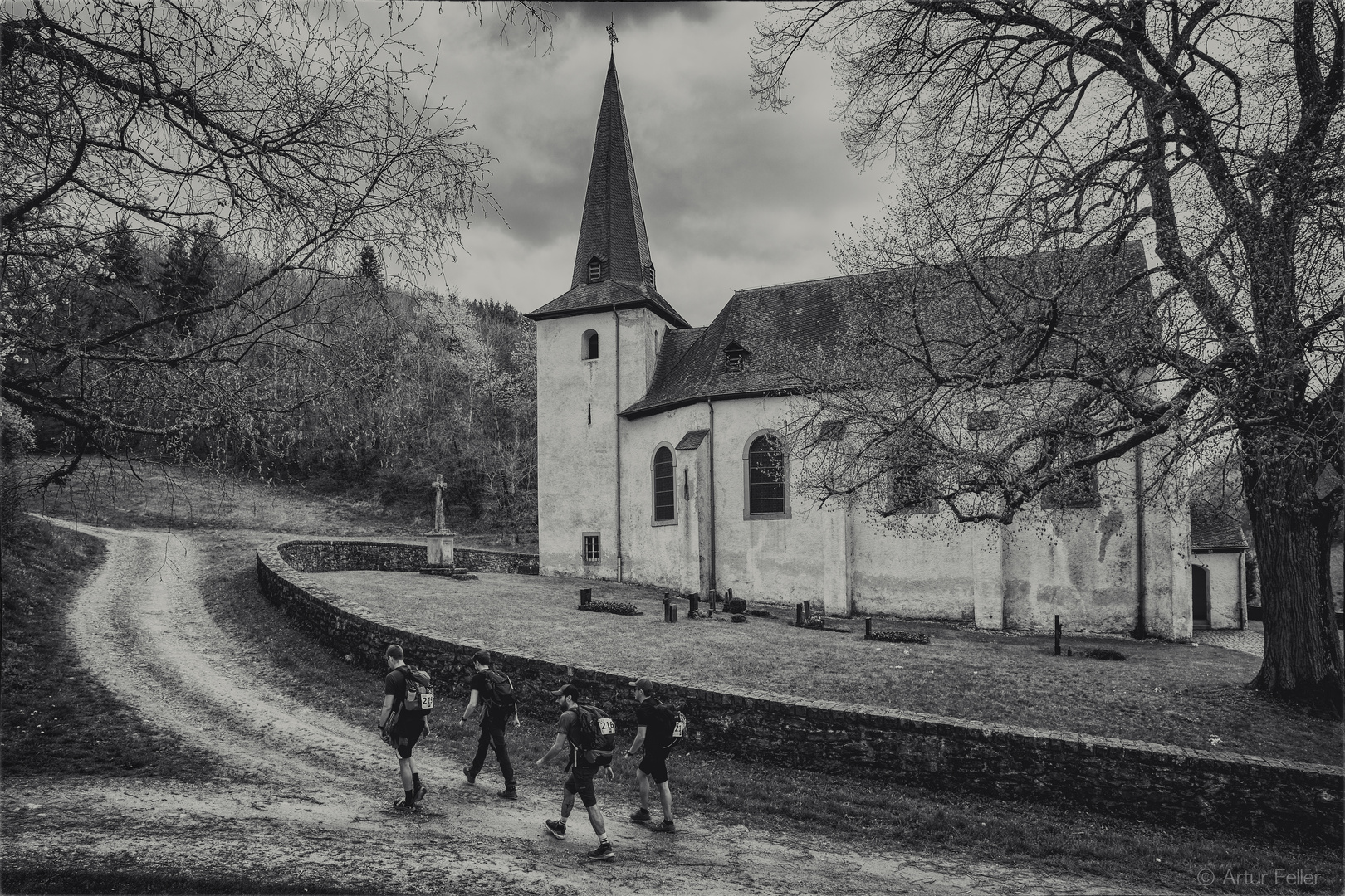 Meilensteine der Gestrüppphotographie