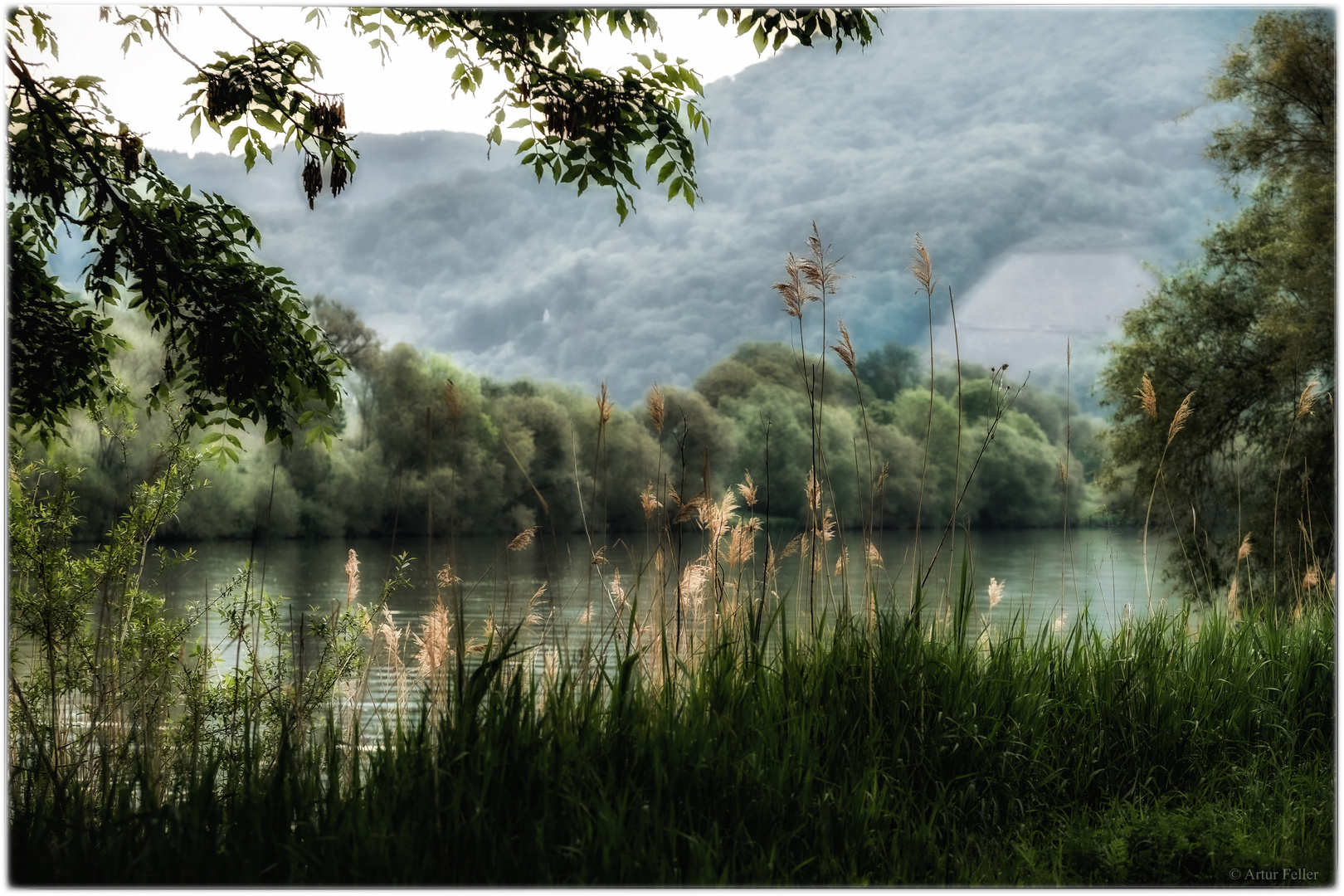 Meilensteine der Gestrüppphotographie