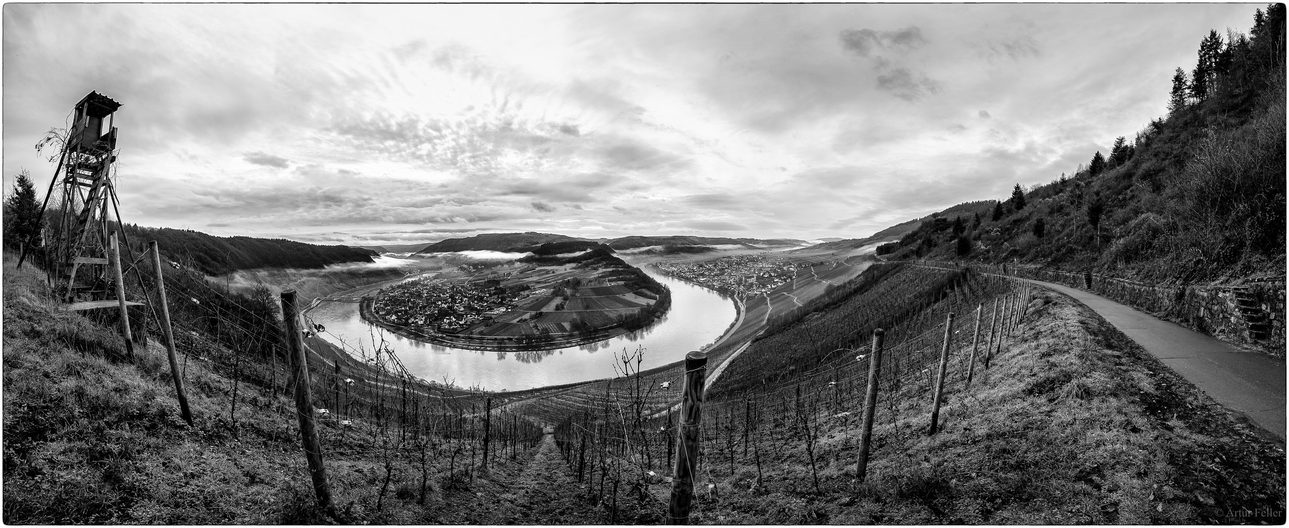 Meilensteine der Gestrüppphotographie