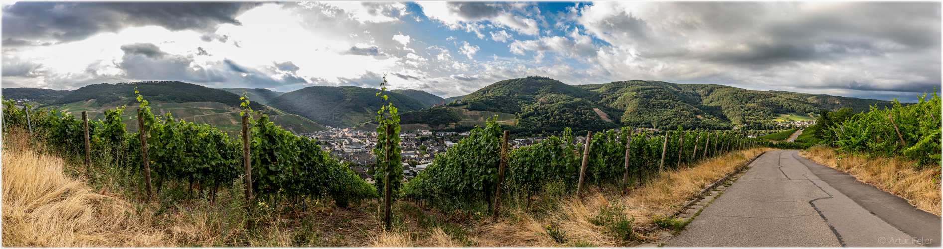 Meilensteine der Gestrüppphotographie