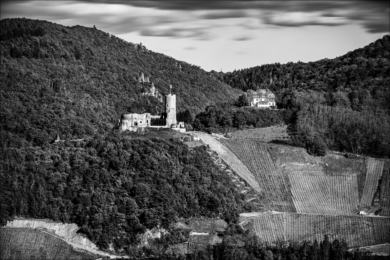 Meilensteine der Gestrüppphotographie