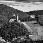 Meilensteine der Gestrüppphotographie