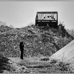 Meilensteine der Gestrüppphotographie