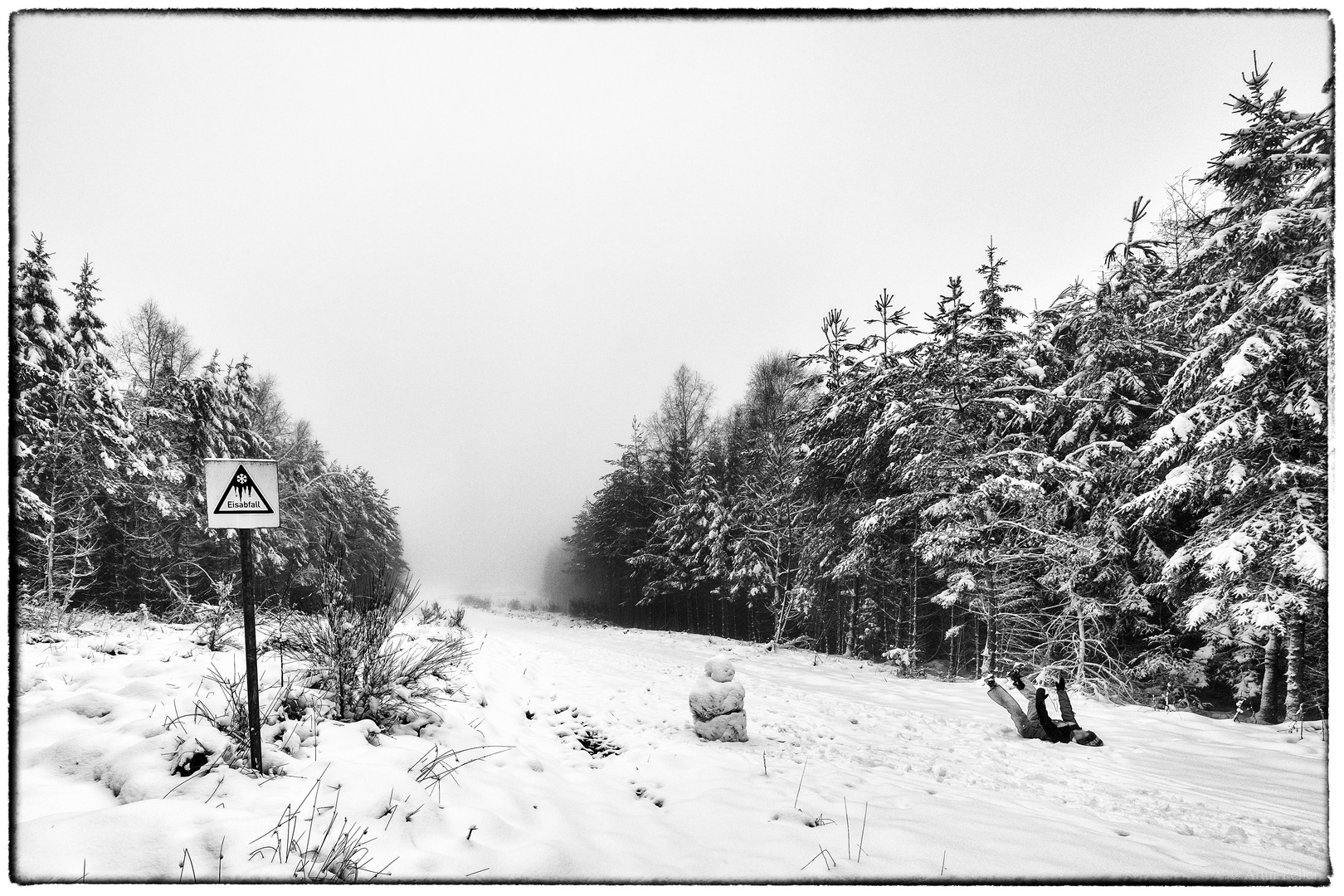 Meilensteine der Gestrüppphotographie