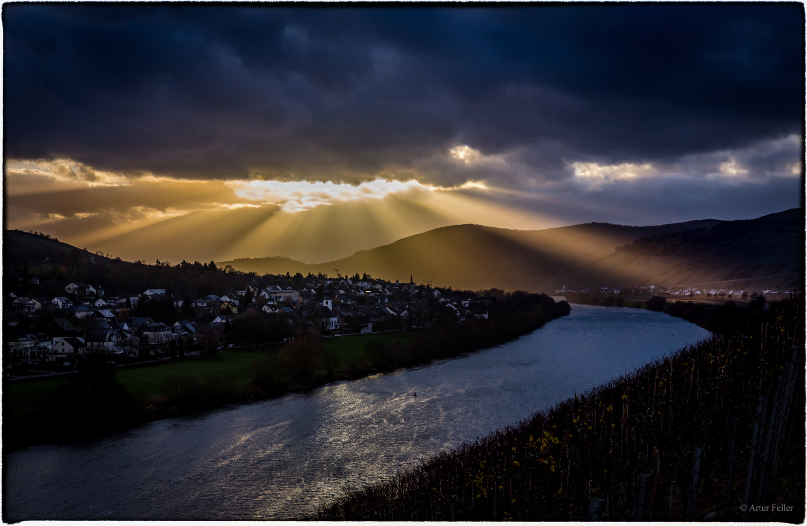 Meilensteine der Gestrüppphotographie