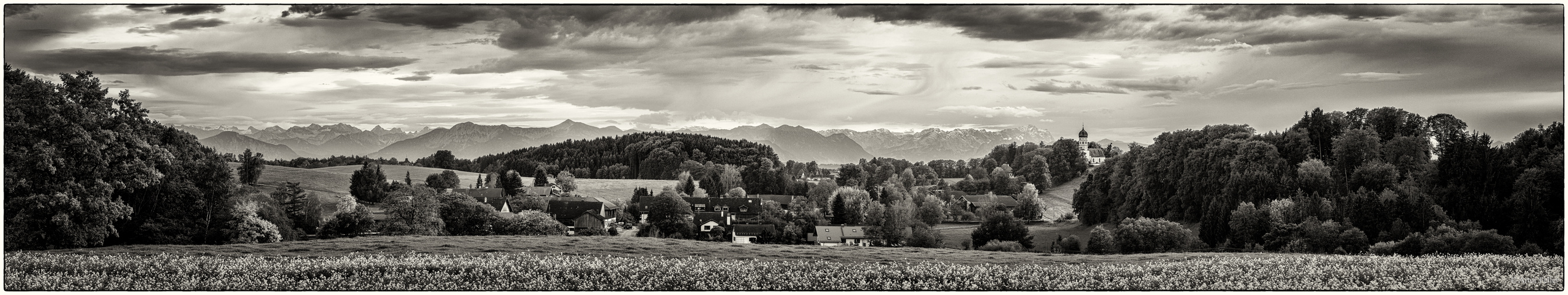 Meilensteine der Gestrüppphotographie