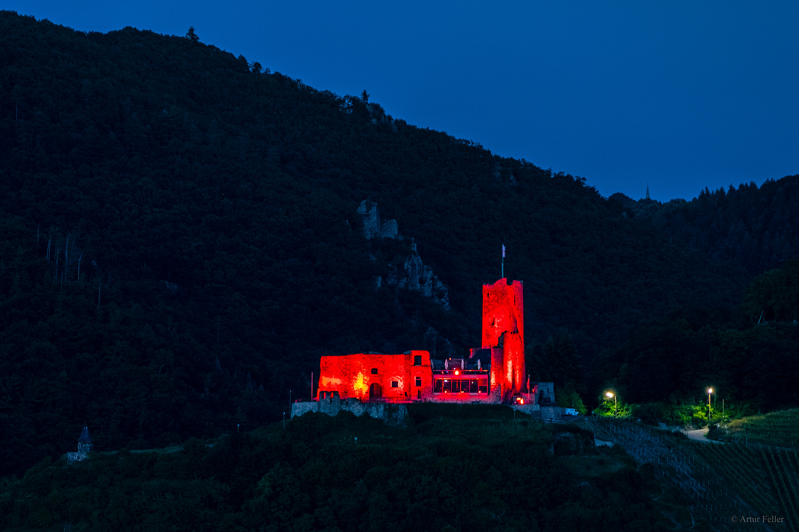 Meilensteine der Gestrüppphotographie aus dem berühmten Tal der Ahnungslosen