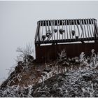 Meilensteine der Gestrüppphotographie