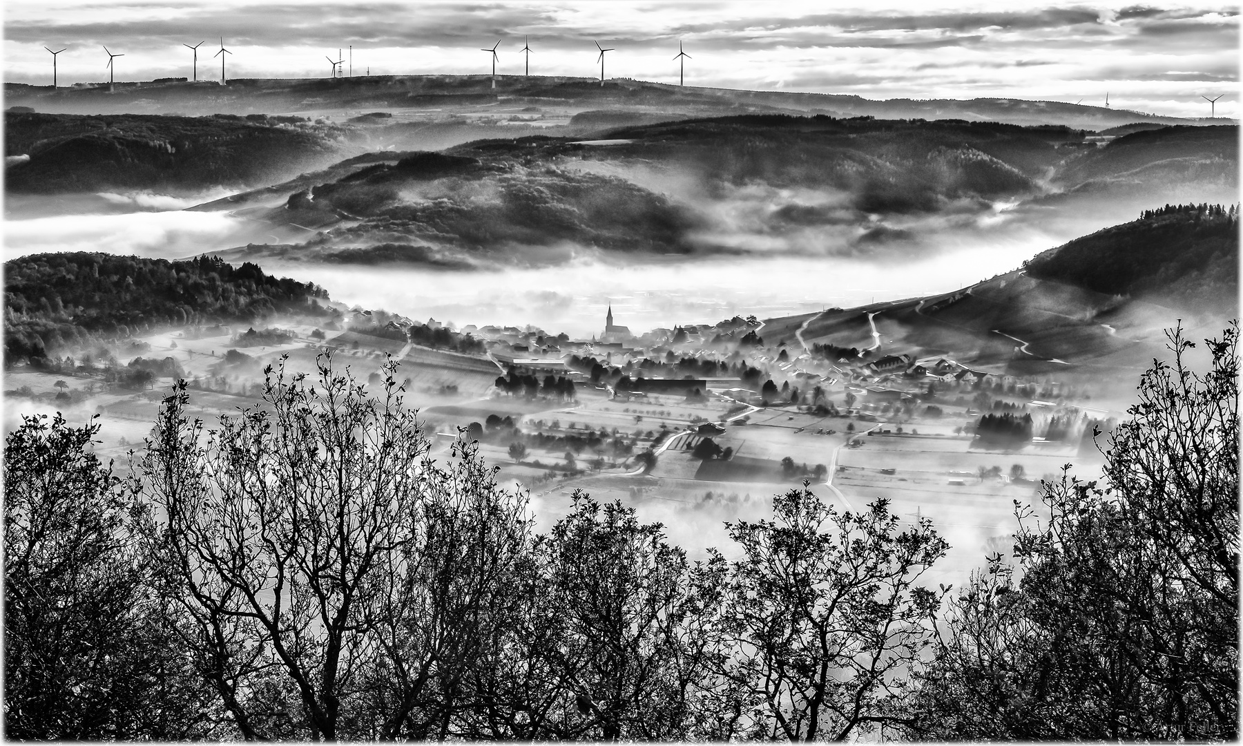 Meilensteine der Gestrüppphotographie