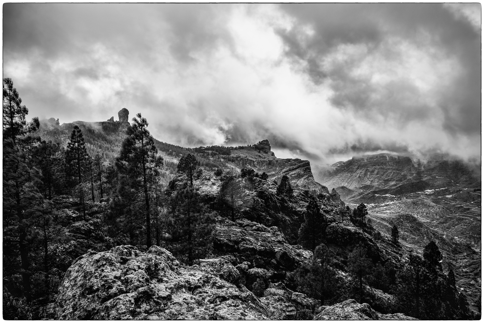 Meilensteine der Gestrüppphotographie ********************