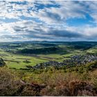 Meilensteine der Gestrüppphotographie  