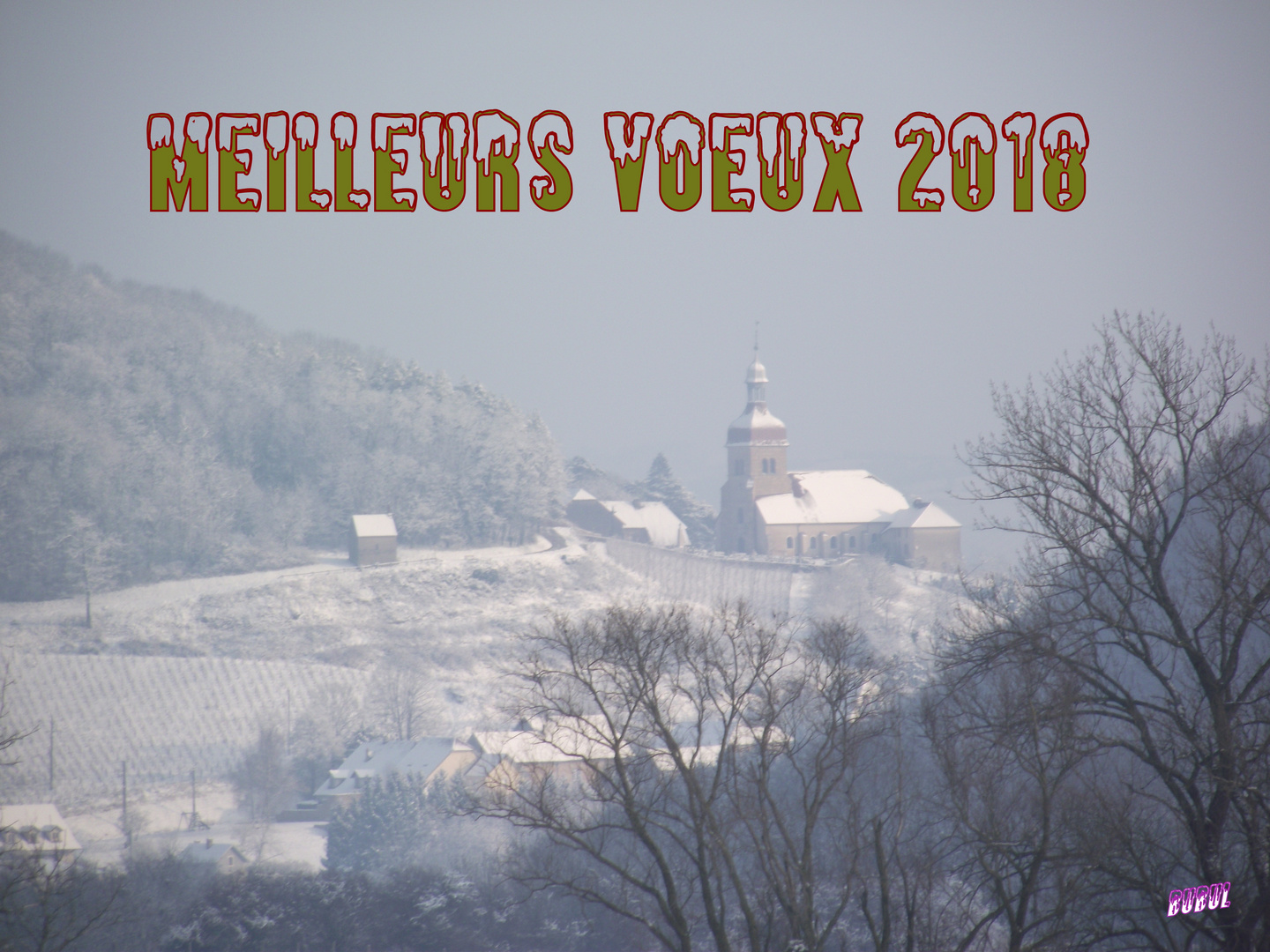 MEILLEURS VOEUX 2018