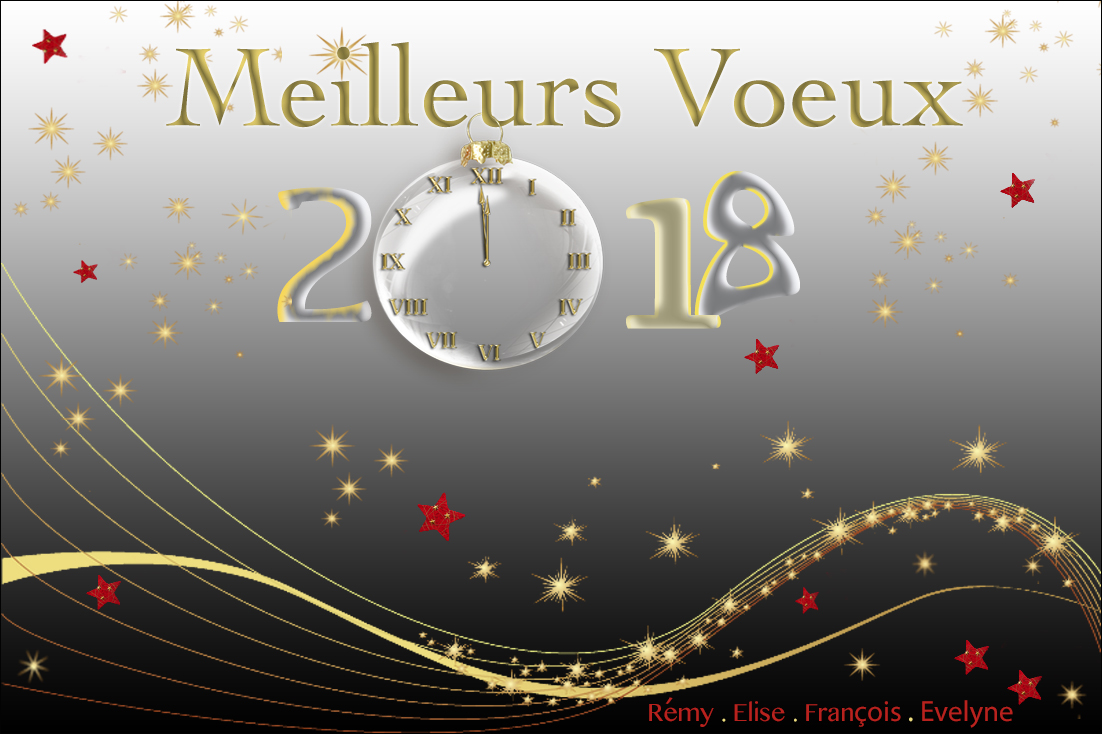 Meilleurs Voeux 2018