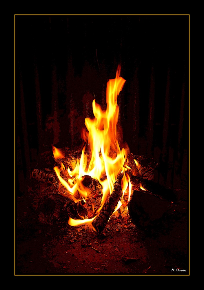 *** MEILLEURS VOEUX POUR 2009 ***