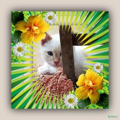 MEILLEURS VOEUX POUR 2025