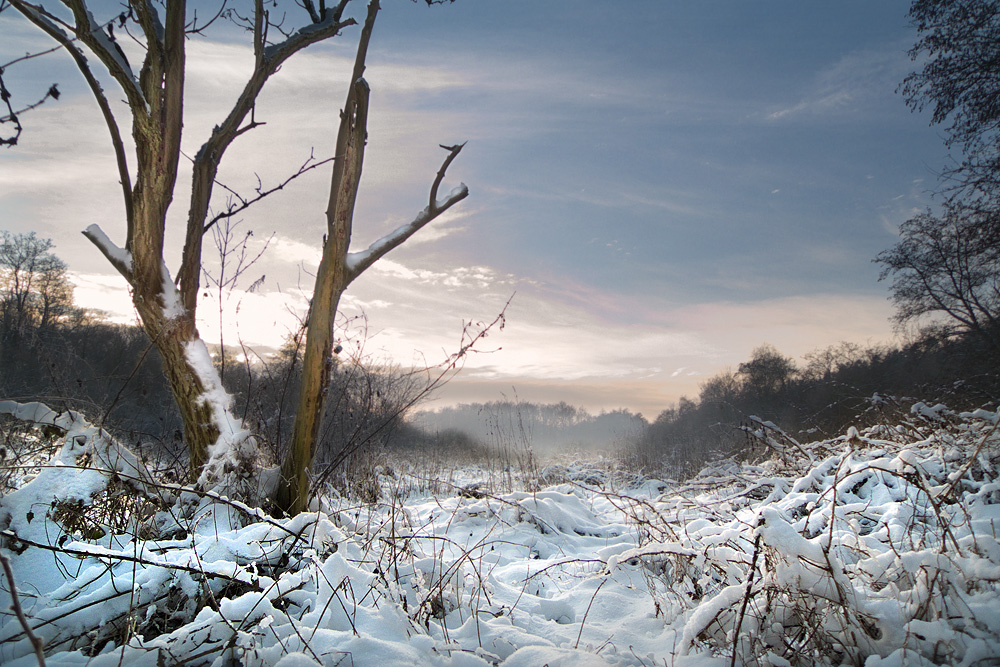 Meimersdorfer Moor