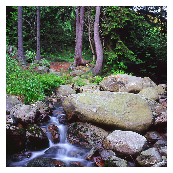 Mein 1. 6x6 (Steinerne Renne / Harz)