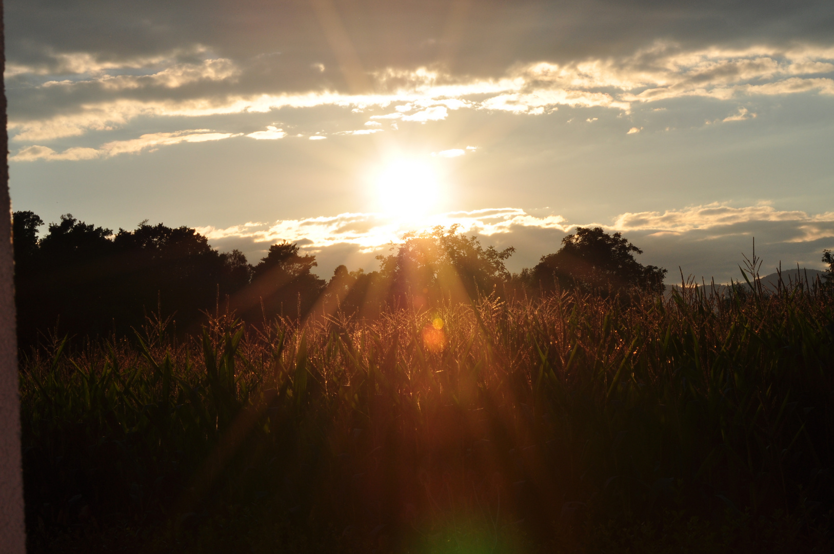 Mein 1. Sonnenuntergang mit Nikon D5000