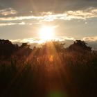 Mein 1. Sonnenuntergang mit Nikon D5000