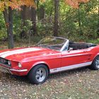 Mein 1967 Ford Mustang GTA Cabrio im Herbst.