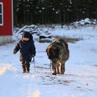 Mein 2 jaehriger mit unserer 3jaehrigen Baerenhuendin