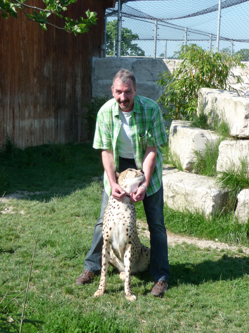 Mein 2. neues Haustierchen ;-) Gepard