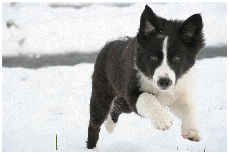 "Mein allererster Schnee!"