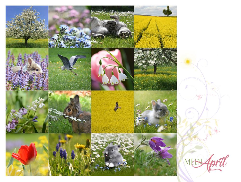 mein April Foto &amp; Bild frühling, natur, landschaft Bilder auf