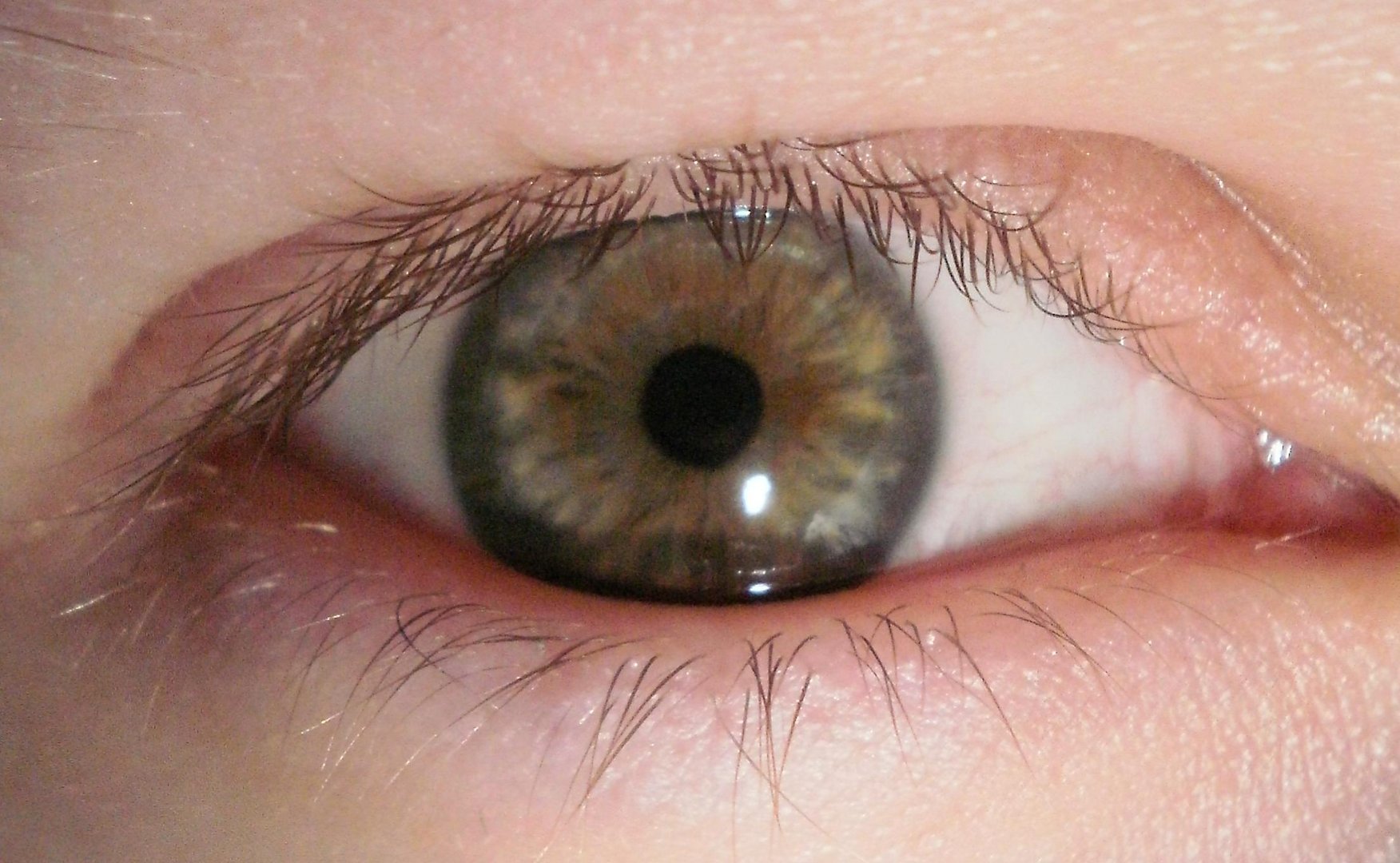 Mein Auge