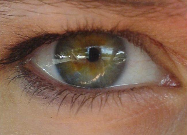 mein auge