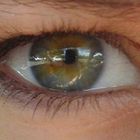 mein auge